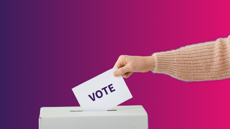 The OC election countdown begins!